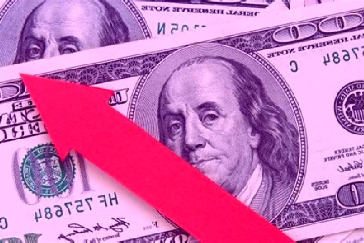 escort Dolar