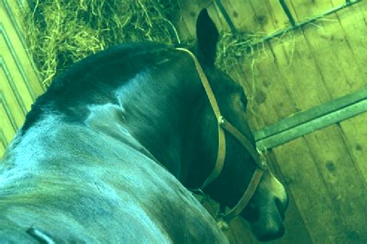 escort Dommartin-les-Cuiseaux