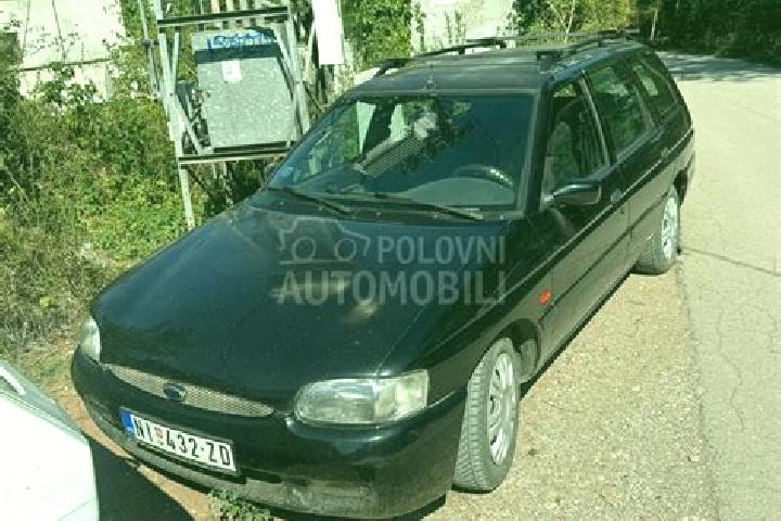 escort Donja Gracenica
