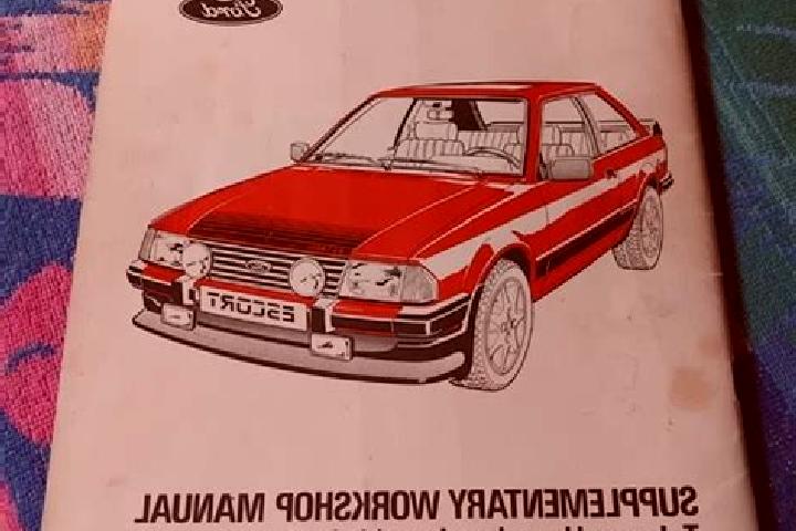 escort Donja Medida