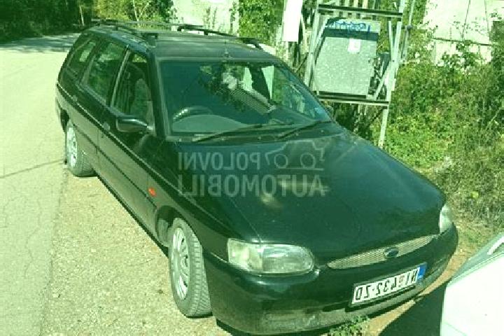 escort Donja Pusca