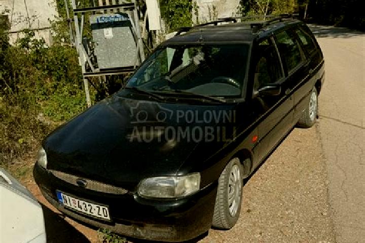 escort Donja Vrba