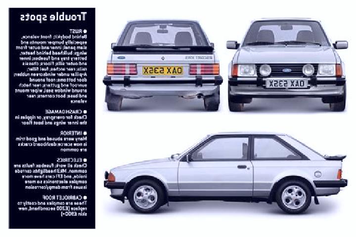 escort Donnybrook