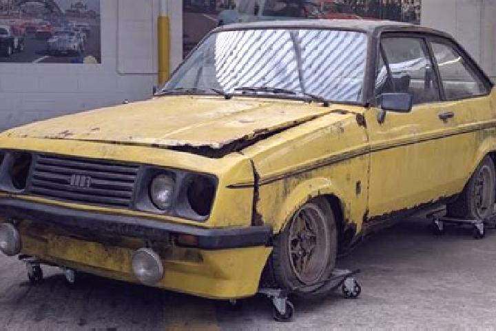escort Donvale