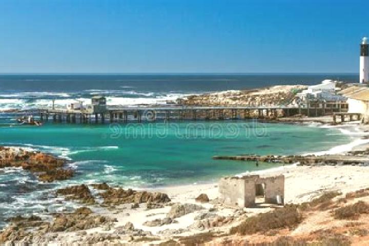 escort Doringbaai