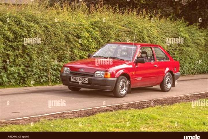 escort Dorog