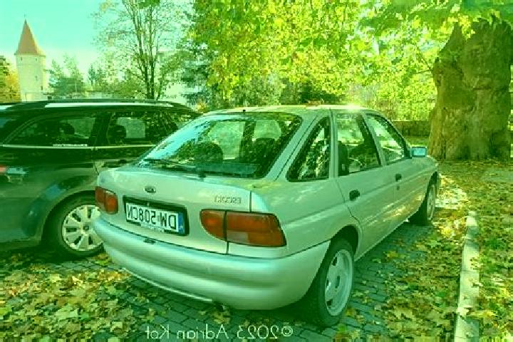 escort Dorohoi
