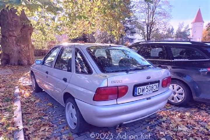escort Dorsel