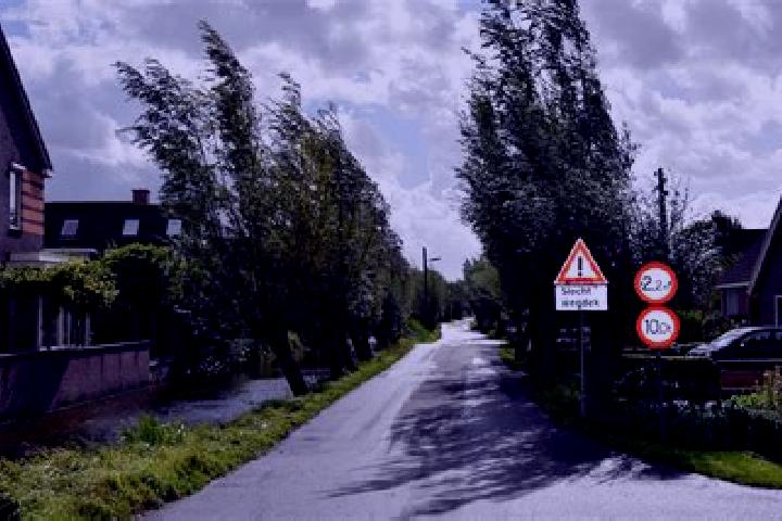 escort Driebruggen