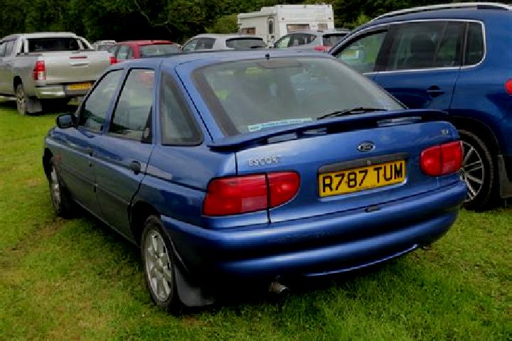 escort Drincea