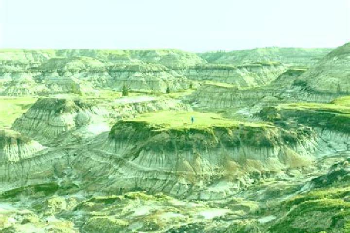 escort Drumheller