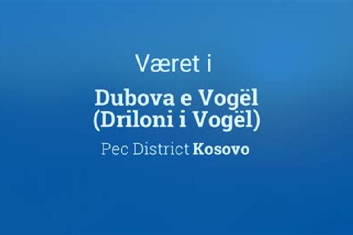 escort Dubova (Driloni)