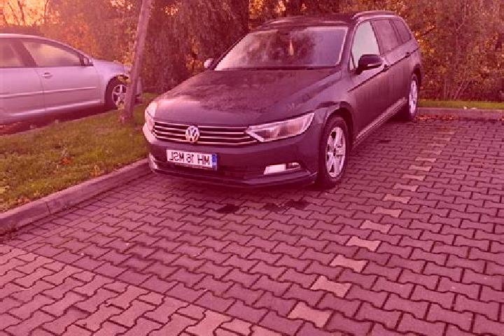 escort Dudasu Schelei