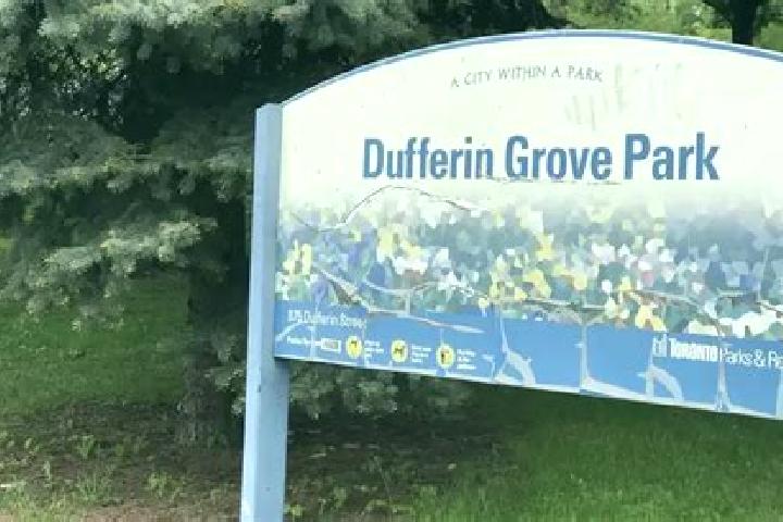 escort Dufferin Grove