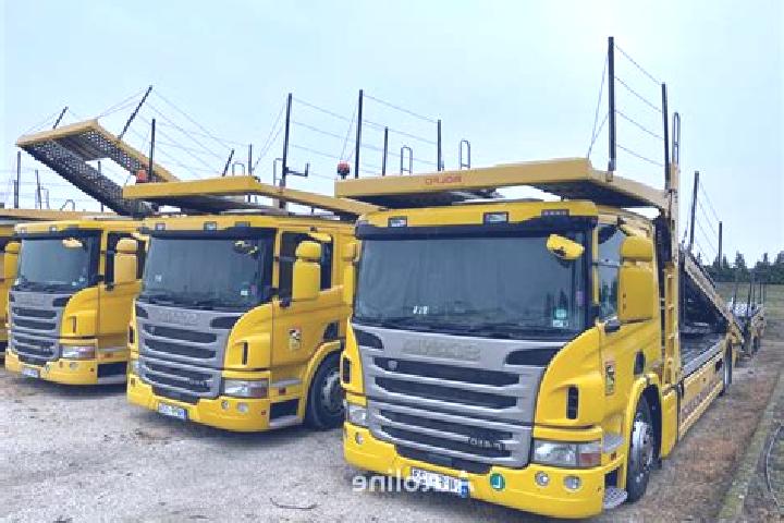 escort Dunaszentbenedek