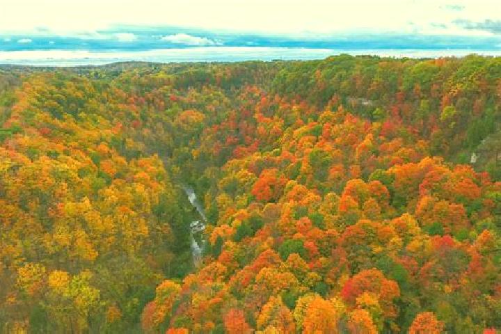 escort Dundas Valley