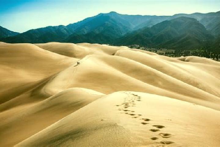 escort Dunes City