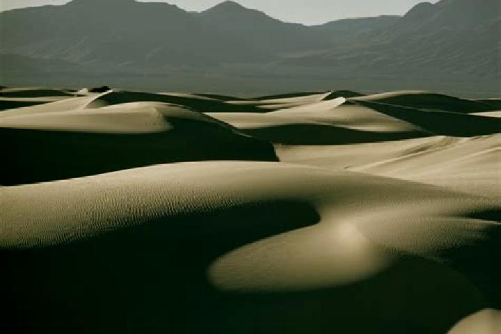escort Dunes