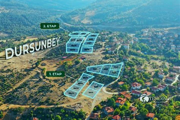 escort Dursunbey