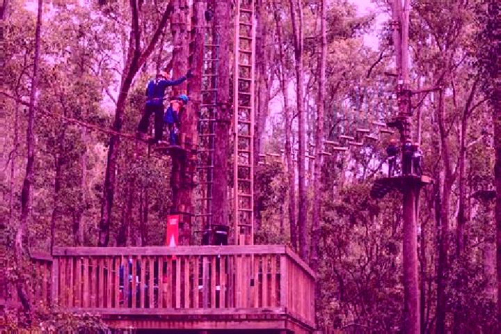 escort Dwellingup
