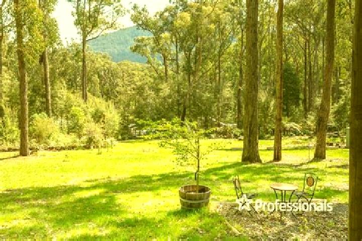 escort East Warburton