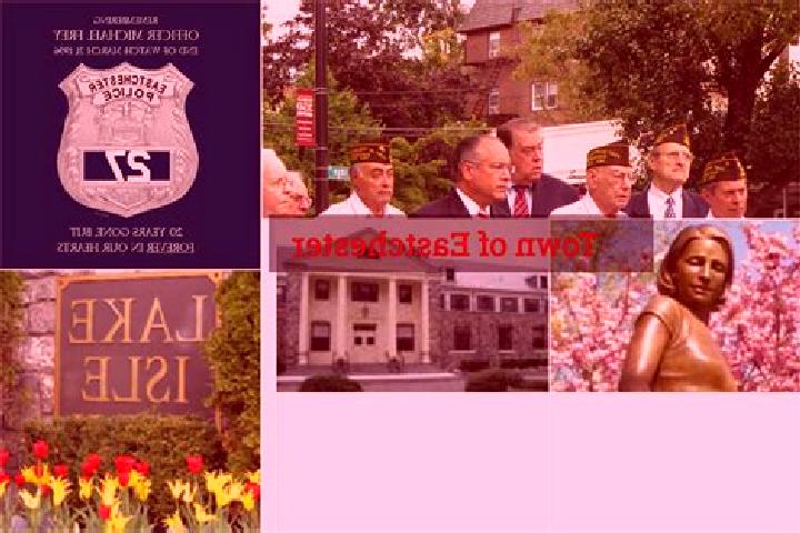 escort Eastchester