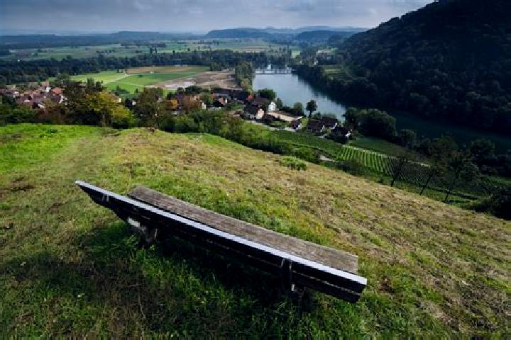 escort Effingen