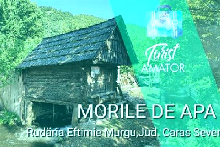 escort Eftimie Murgu