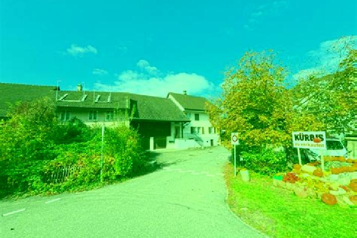 escort Ehrendingen
