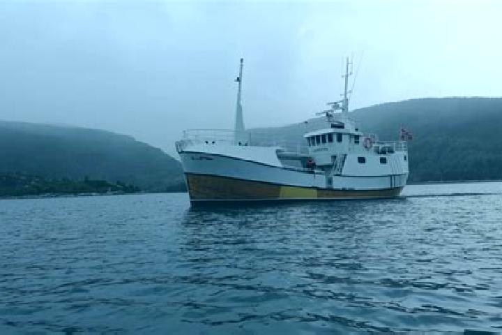 escort Eivindvik