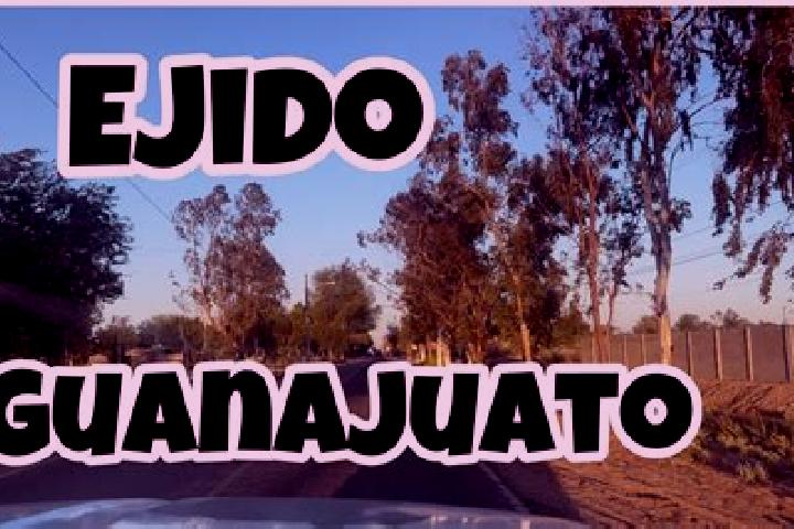escort Ejido Guanajuato