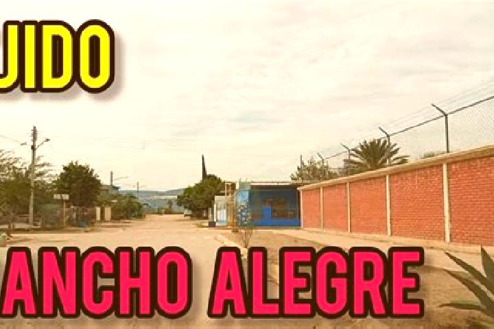 escort Ejido Rancho Alegre