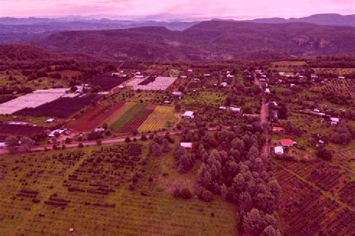 escort Ejido Tres Barrancas