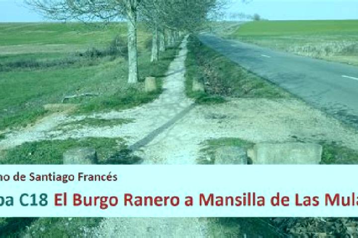 escort El Burgo Ranero