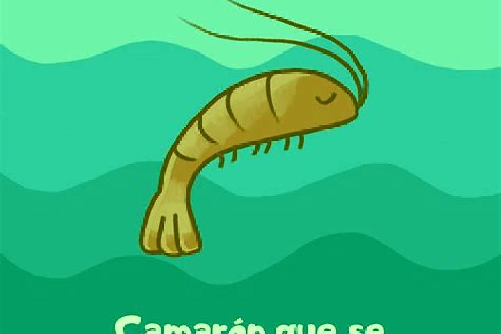 escort El Camaron
