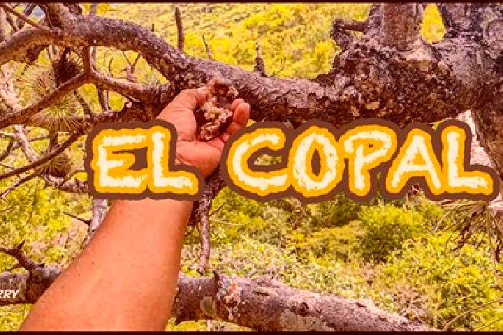 escort El Copalillo