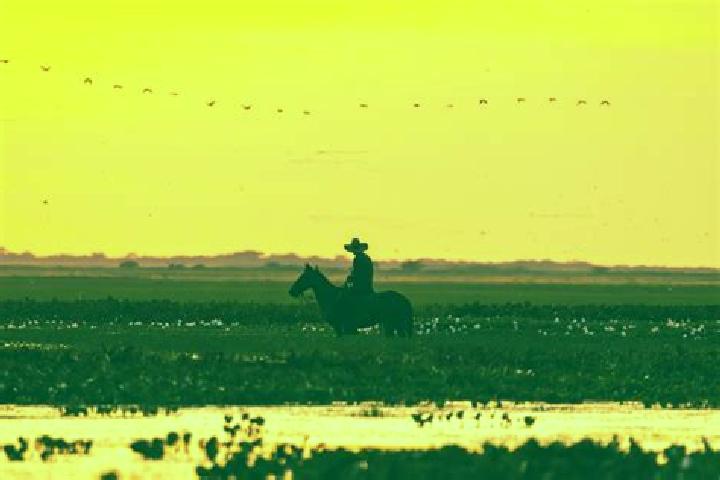 escort El Llano de los Vela