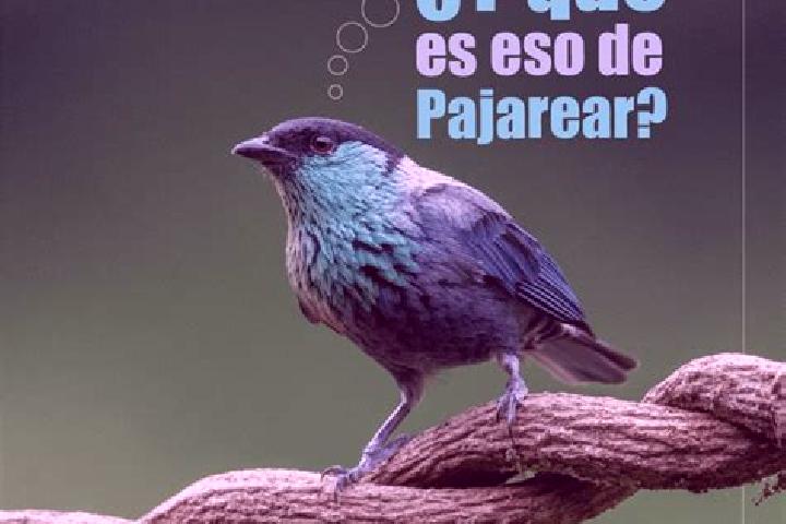 escort El Paujil