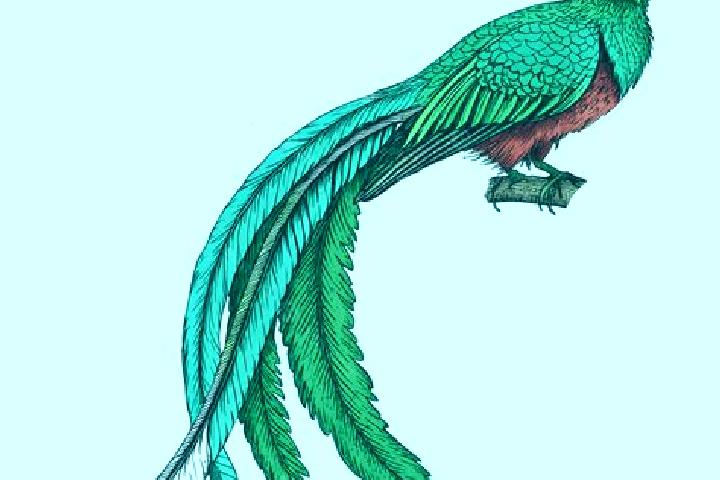 escort El Quetzal