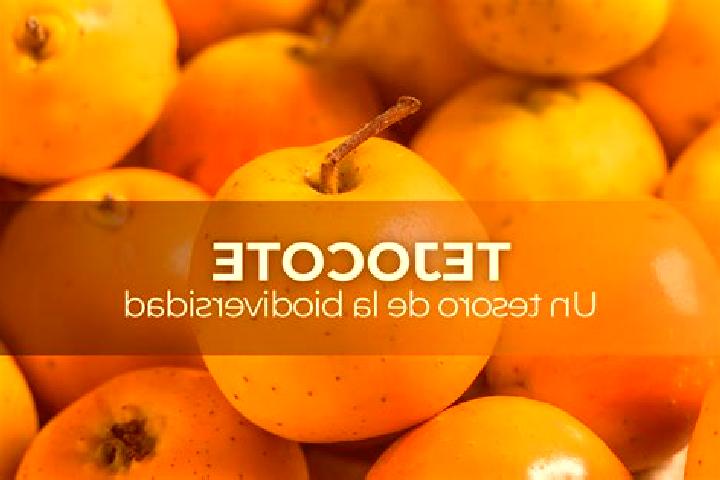 escort El Tejocote