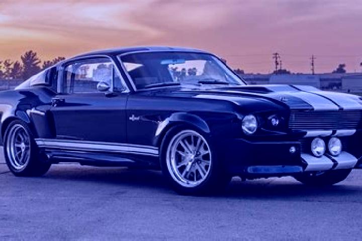 escort Eleanor