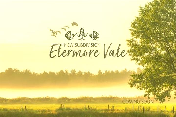escort Elermore Vale