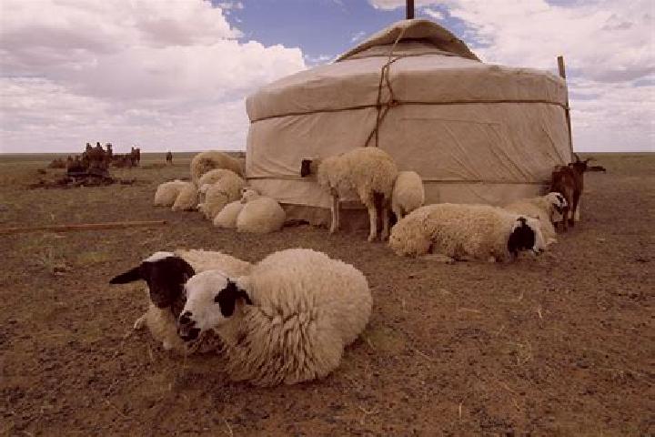 escort Elin-Yurt