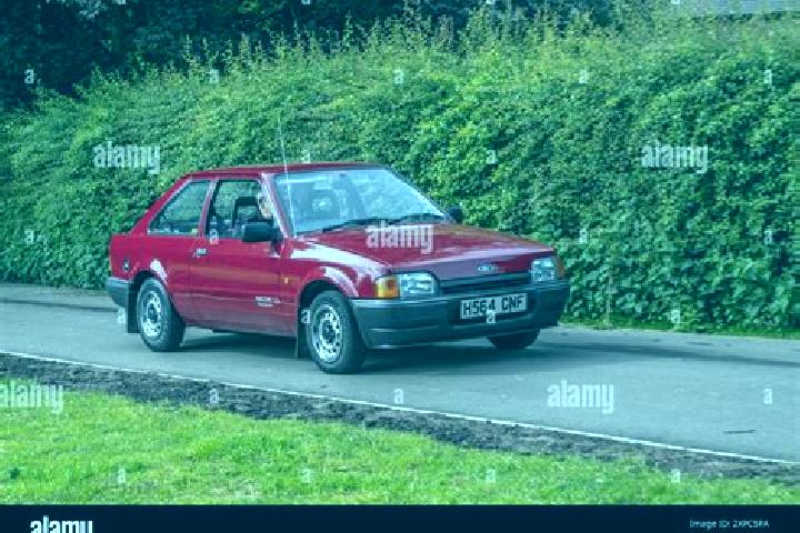 escort Elstervorstadt