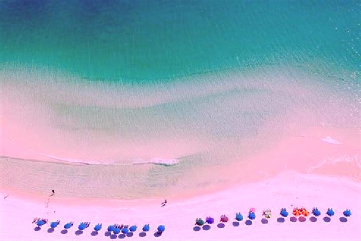 escort Emerald Beach