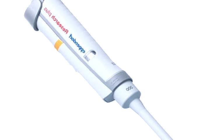 escort Eppendorf