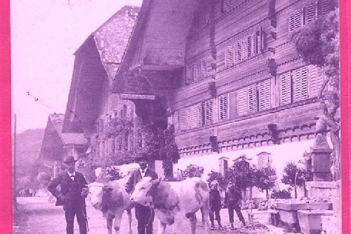 escort Erlenbach im Simmental
