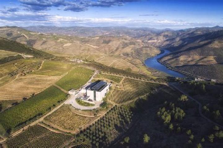 escort Ervedosa do Douro