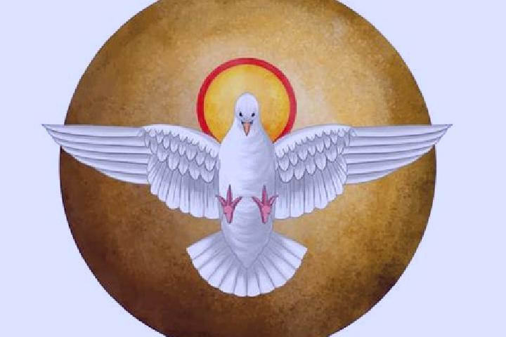 escort Espiritu Santo