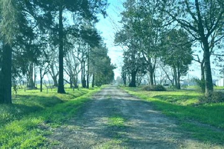 escort Estancia Vieja (San Jose la Estancia)